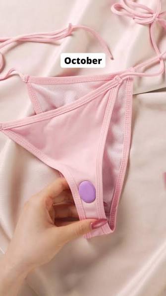 Lovense Ferri Reserve Panty Vibrator (B2B) In Stock Sept 19th