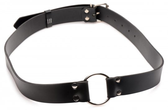 Master Series Strap and Ride Dildo Strap Harness