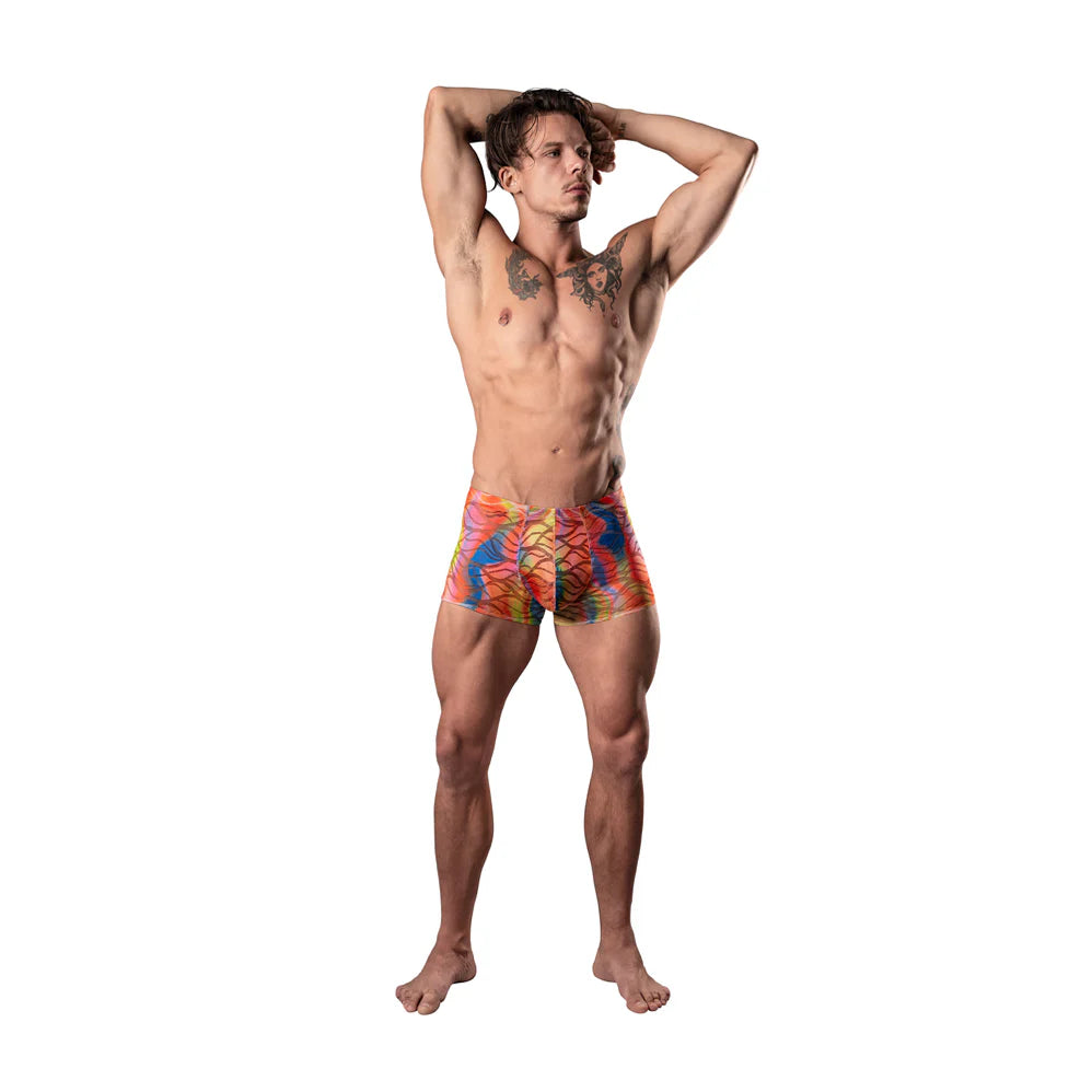 Male Power Your Lace or Mine Pouch Short Multicolor (Choose Size)
