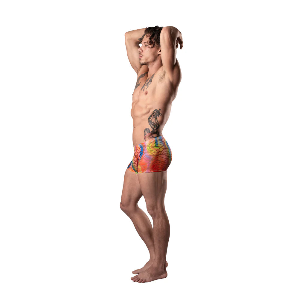 Male Power Your Lace or Mine Pouch Short Multicolor (Choose Size)