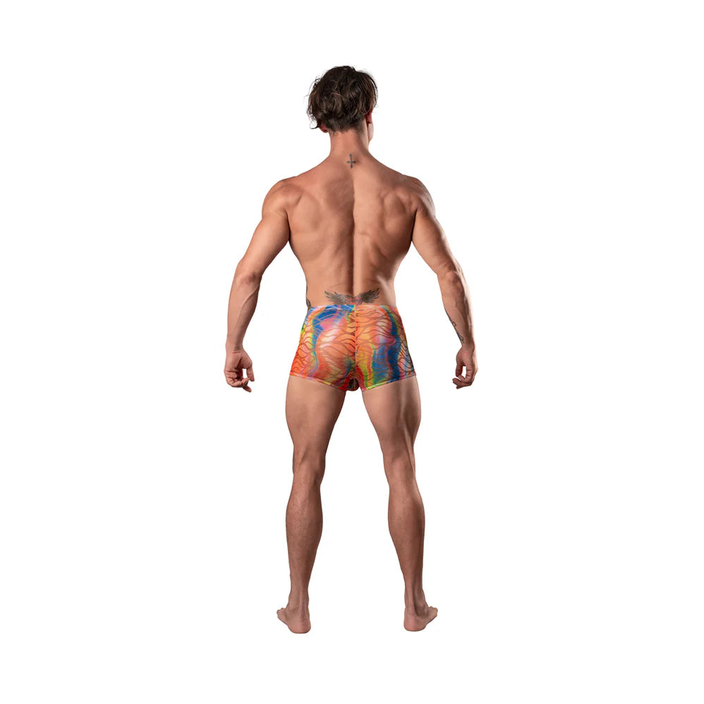 Male Power Your Lace or Mine Pouch Short Multicolor (Choose Size)