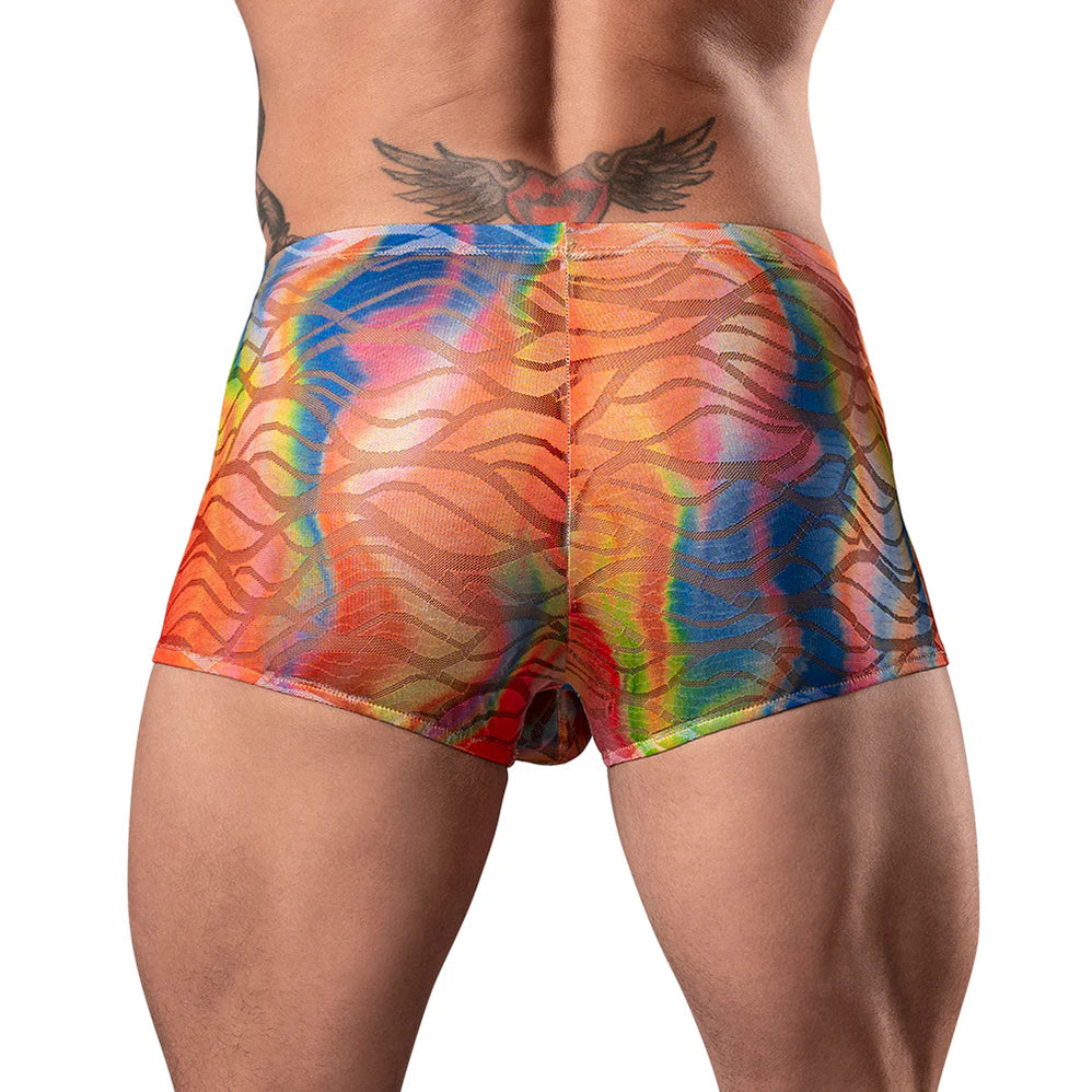 Male Power Your Lace or Mine Pouch Short Multicolor (Choose Size)