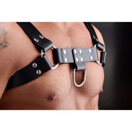 Strict Leather English Bull Dog Harness