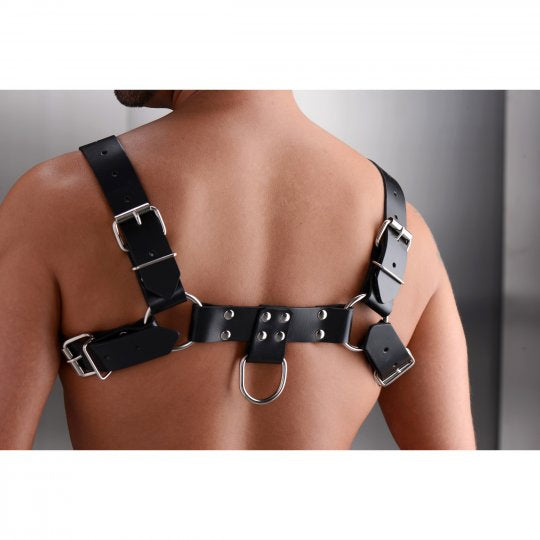 Strict Leather English Bull Dog Harness