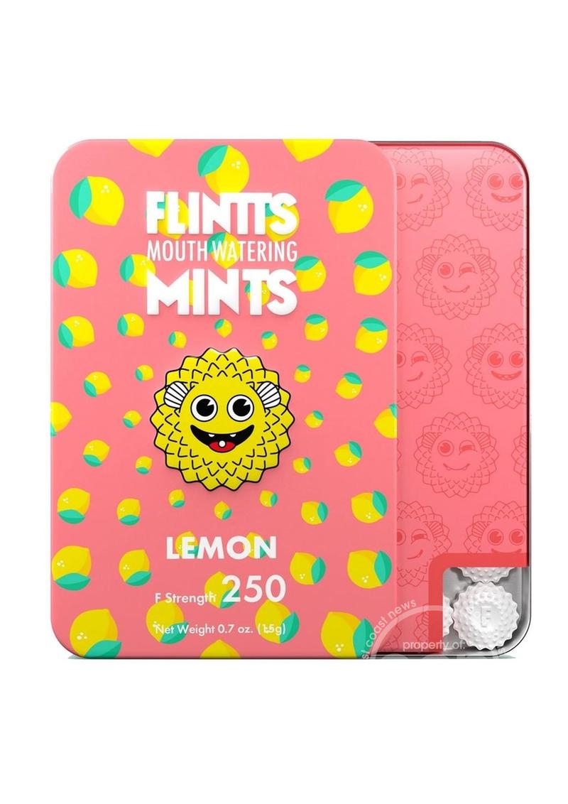 Flintts Mouth Watering Mints (Choose Flavor)