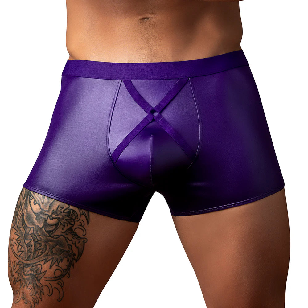 Male Power Eggplant Crossover Short (Choose Size)