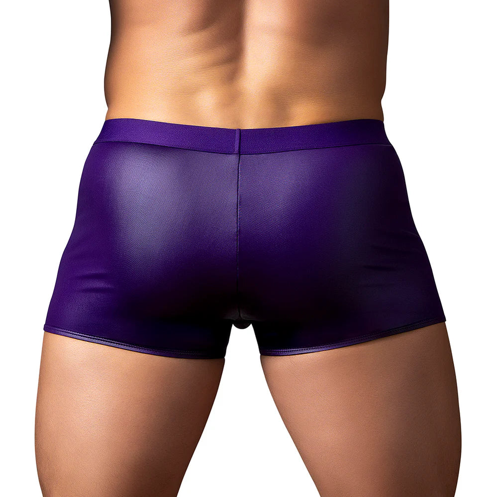 Male Power Eggplant Crossover Short (Choose Size)