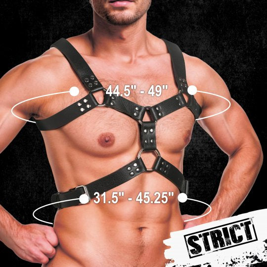 Strict 6 O-Ring Chest Harness