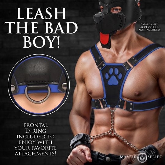 Master Series Alpha Pup Bulldog Harness-Blue (In Stock Sept 4th)