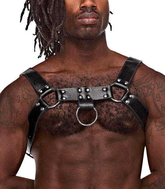 Male Power Aries Harness