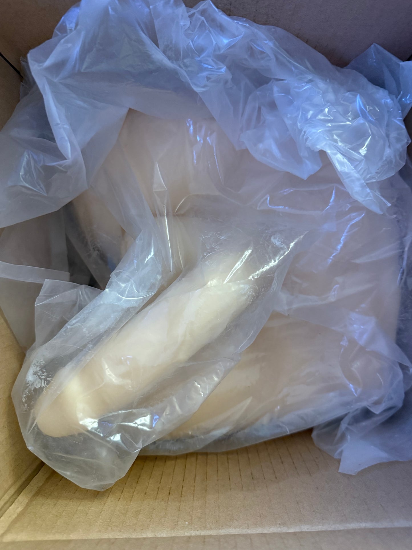 10.8 lb Ferch Masturbator Butt with Flexible Dildo- Vanilla