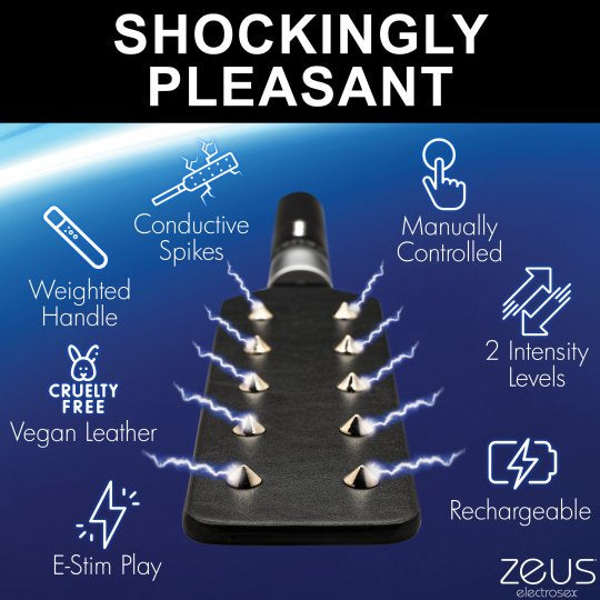 Zeus E-Stim Spiked Paddle